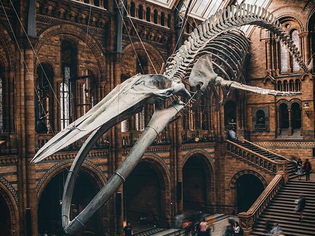 Nationalhistoriska museet i Kensington och Chelsea.