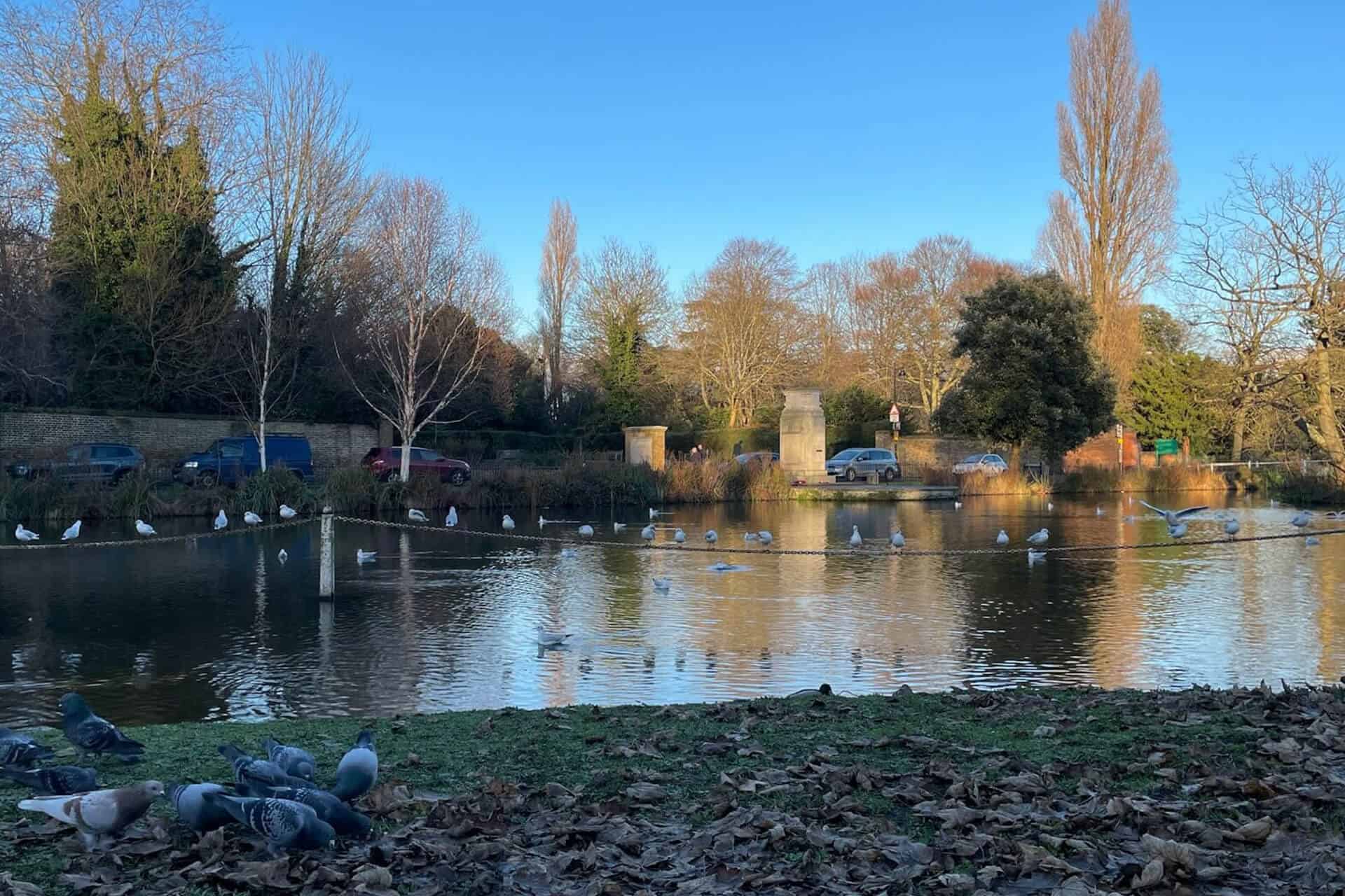 Sutton_ huvudbild Sutton är en stadsdel i London, känd för sin natur.