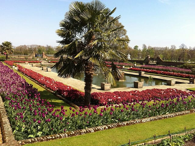 Färgglad trädgård i City of Westminster.