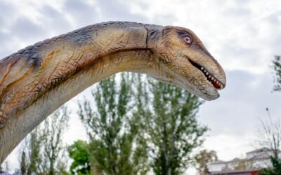 10 sevärdheter i stadsdelen Barnet