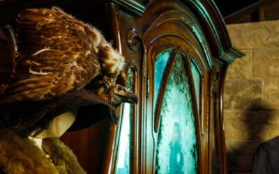 Upptäck en tour på Harry Potter studio